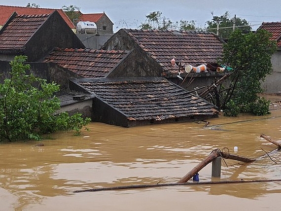 NGO continues delivery of emergency assistance in Quang Binh