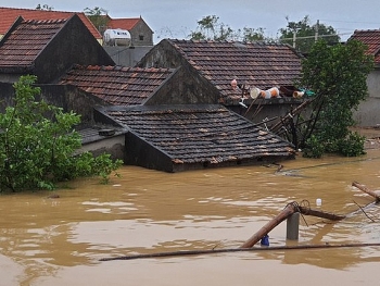 ngo continues delivery of emergency assistance in quang binh