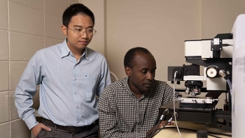Australia grants aid for Vietnamese-led research team