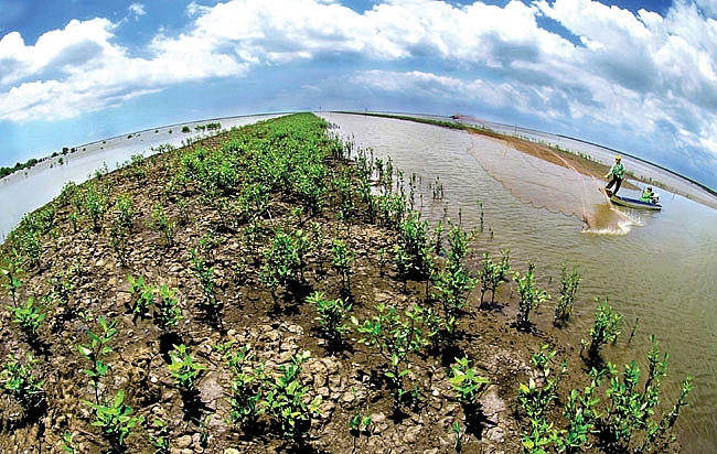 Netherlands – Vietnam Sustainable Business Event for the Mekong Delta