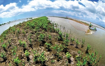 Netherlands – Vietnam Sustainable Business Event for the Mekong Delta