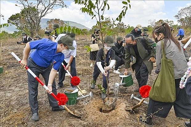 Binh Thuan: Efforts Made to Improve Disaster Response Skills