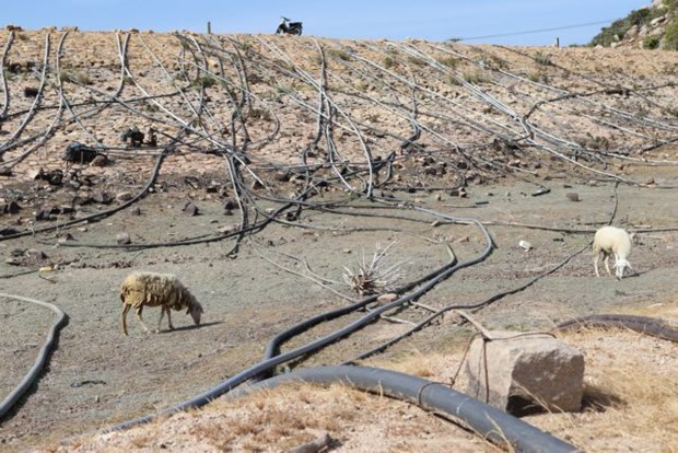 vietnam is facing severe water shortages in coming dry season