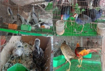 MoNRE requests tightened control of wildlife trafficking, consumption