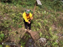 Cinnamon tree helps Bao Lac farmers escape poverty
