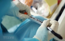 two new thai covid 19 cases confirmed