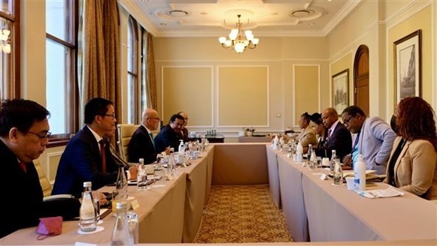 Vietnam, South Africa Prepares for 2022 Inter-Governmental Partnership Forum