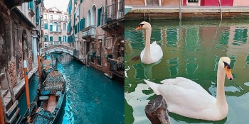 Cleaner hands, clearer water, bluer skies: What has coronavirus done for us?