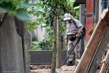 nparenew back to survey and clearance work as social distancing eased