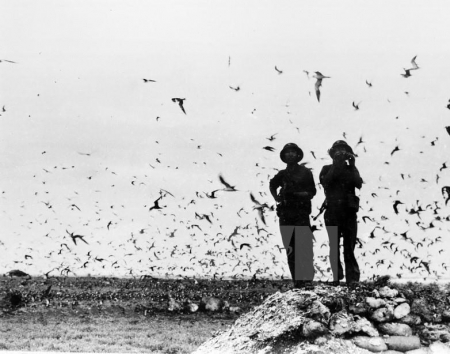 Liberation of Truong Sa archipelago [photos]