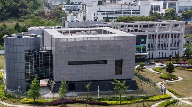 wuhan lab the source of the coronavirus
