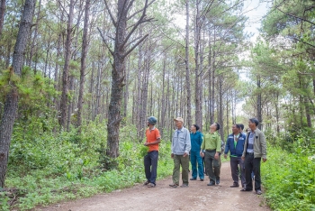 USAID Sustainable Forest Management and Biodiversity Conservation projects launched in Vietnam