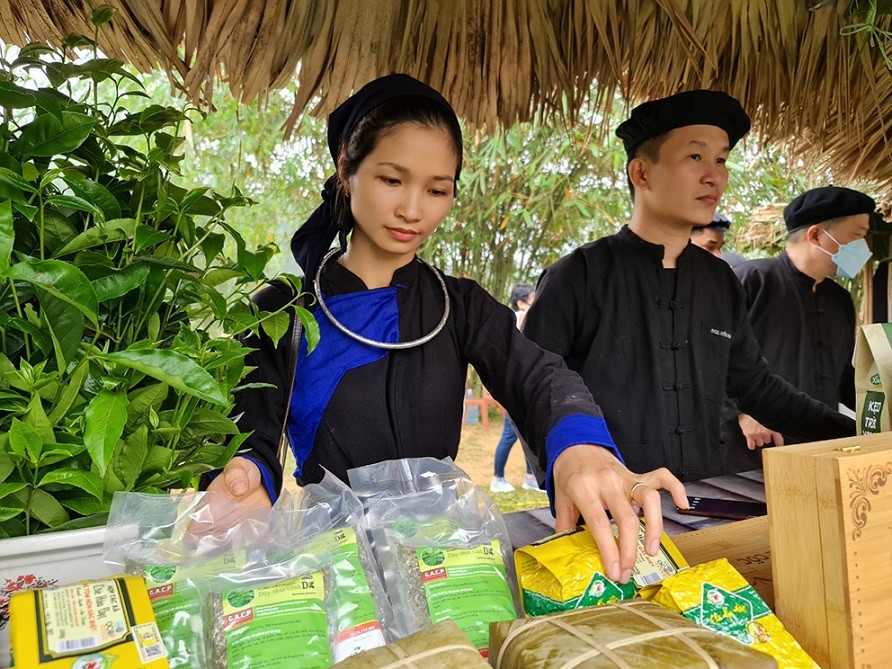 Vietnam Ethnic Group Cultural Day Underways in Hanoi