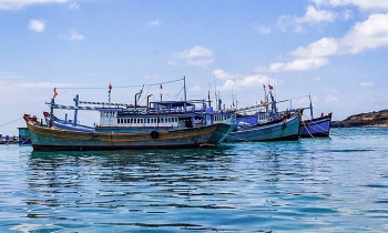 more chinese investors acquire vietnamese firms