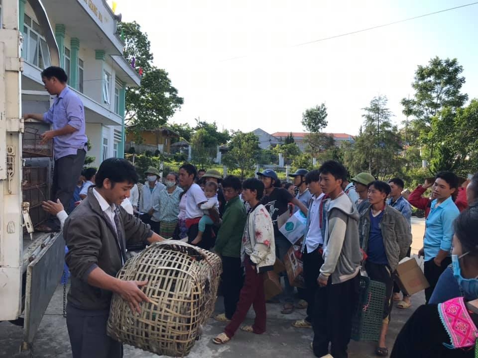 hki vietnam delivers over 1000 ducks to lai chaus impoverished villages