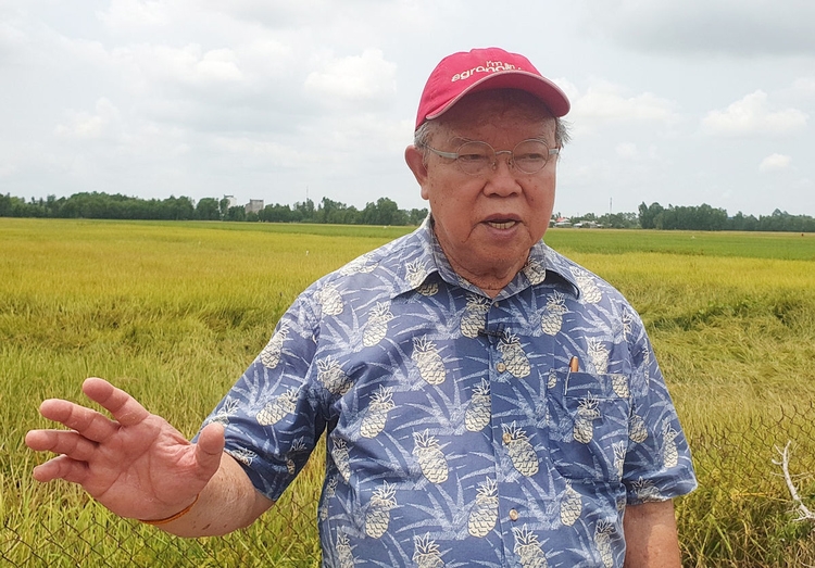 Japan to confer Order of the Rising Sun decoration to Vietnamese professor