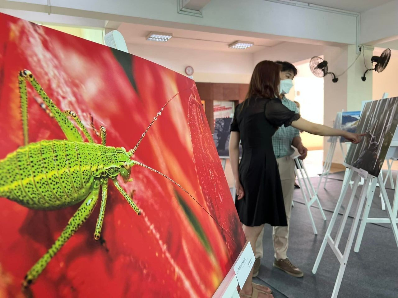 Visegrad Group Countries Introduce Photos of Natural Treasures in HCM City