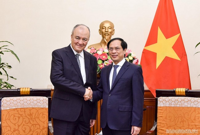 Vietnam, Algeria Hold Third Political Consultation to Foster Cooperation
