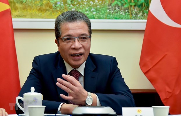 Vietnam, turkey seek measures to forge ties hinh anh 1