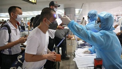 240 returned passengers from Singapore test negative for COVID-19