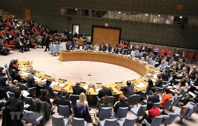 deputy fm vietnam performing unsc role well in first half of 2020