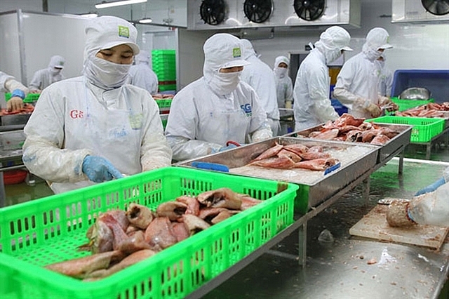 EVFTA: First batch of shrimp from Vietnam on its way to EU
