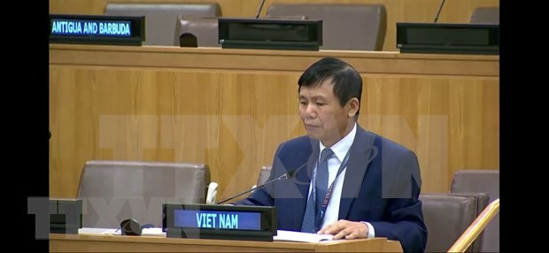 Int’l cooperation, solidarity key to COVID-19 response: Ambassador hinh anh 1