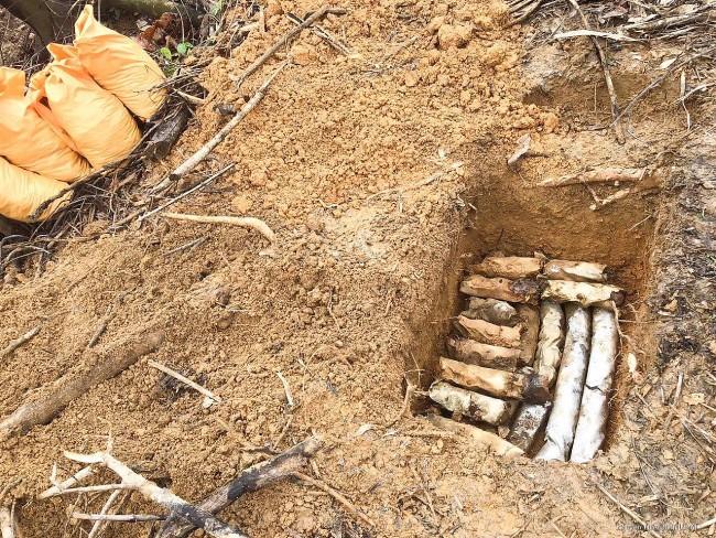 Internatinal Organizations Help Vietnam's Provinces Clear War-left Legacies