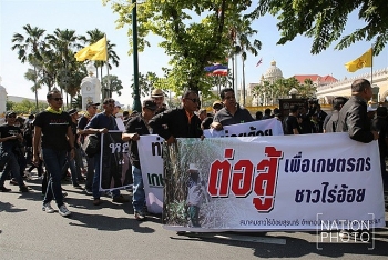 Thailand reverses ban on Glyphosate, permit use of other pesticides for 6 months