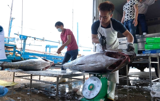 Ensuring equal and humane treatment of fishermen in east sea