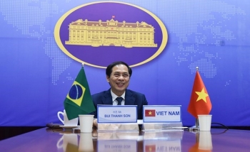 seventh vietnam brazil political consultation held