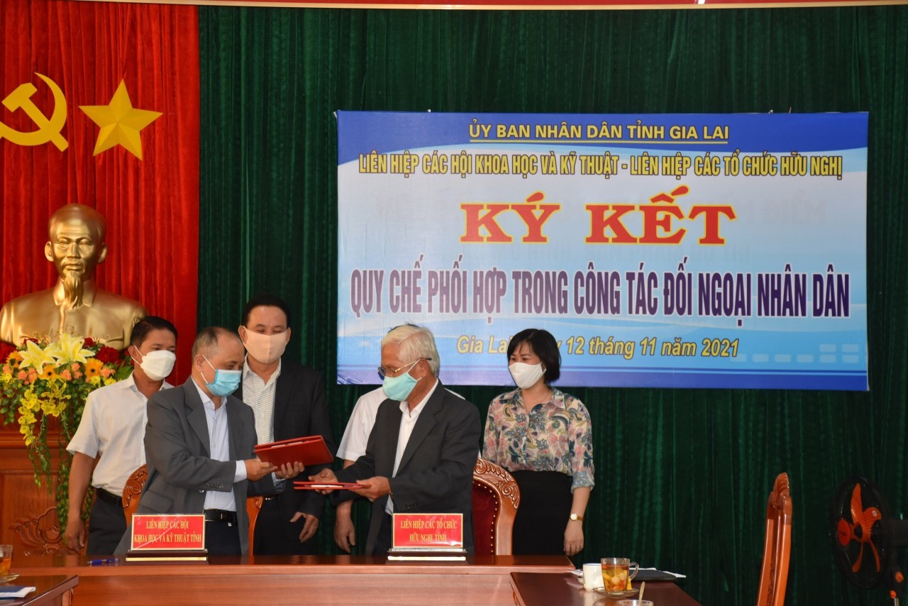 Union of Friendship Organizations Conducts Diverse Activities Amid Covid