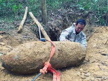 npa renew handles 231 munitions in 2020