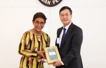 vietnam indonesia ties develop on solid foundation ambassador