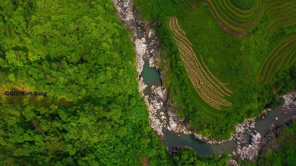 Vietnam-German Cooperate to Strengthen Biodiversity Conservation
