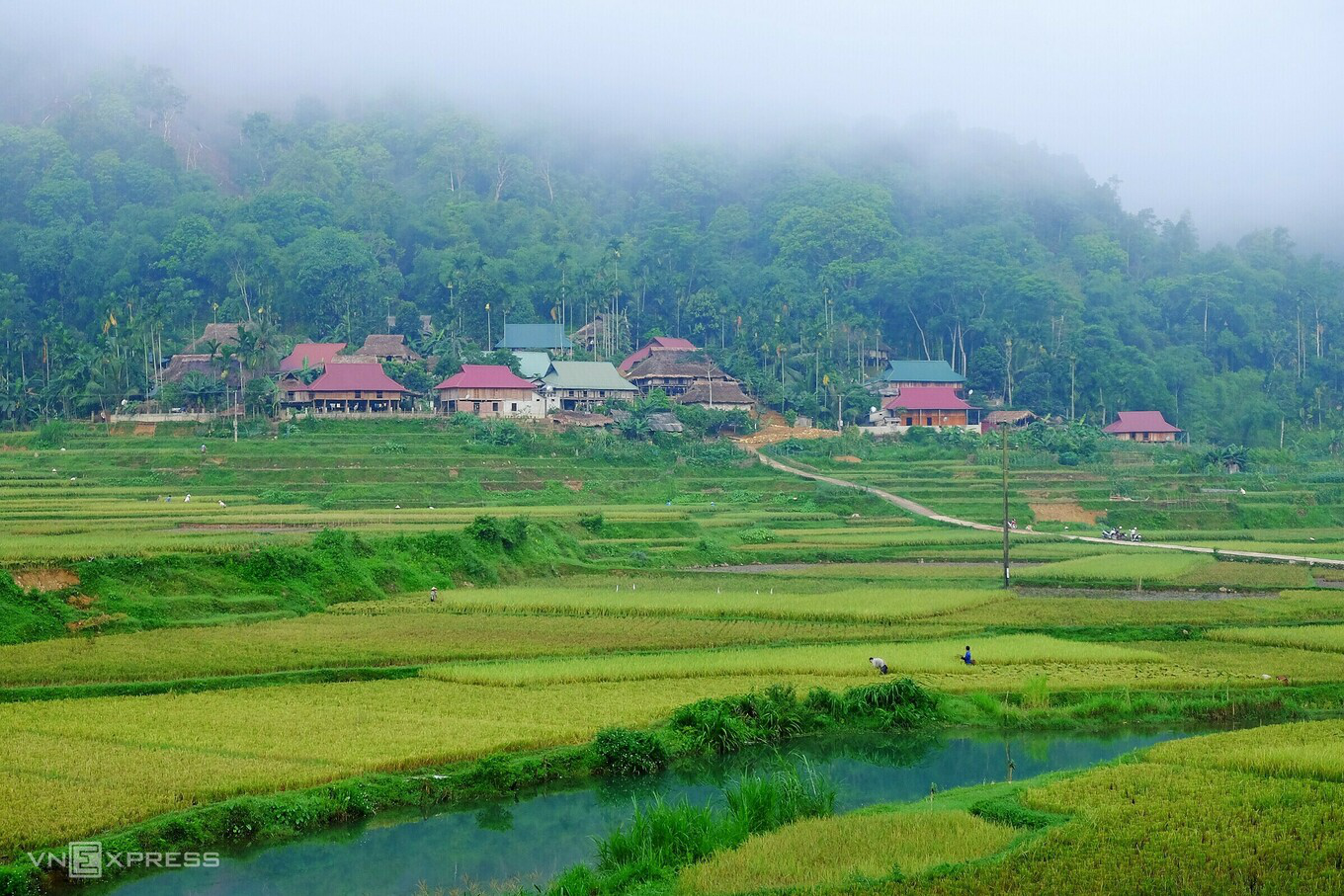 5 experiences to escape the summer heat in Pu Luong nature reserve
