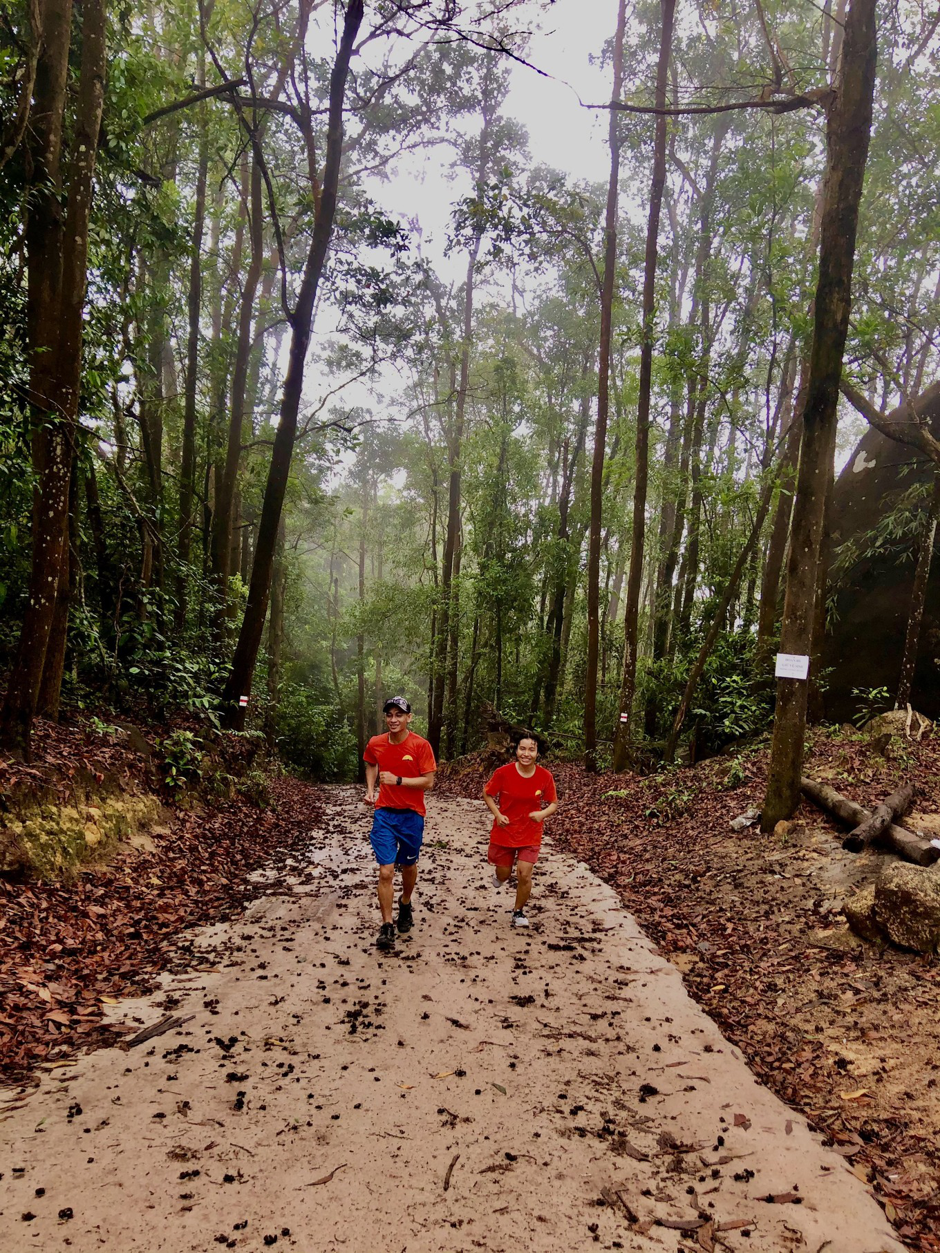 Vietnamese choosing forest camping to escape Covid-19
