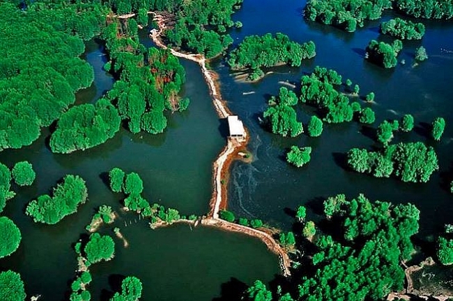 Pristine nature and the simple rustic life in Can Gio