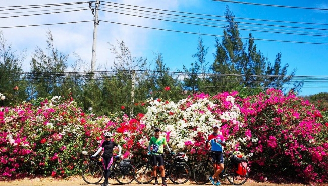 Discover beautiful coastline road and pristine beaches from Vung Tau to Binh Dinh