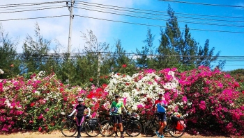 discover beautiful coastline road and pristine beaches from vung tau to binh dinh