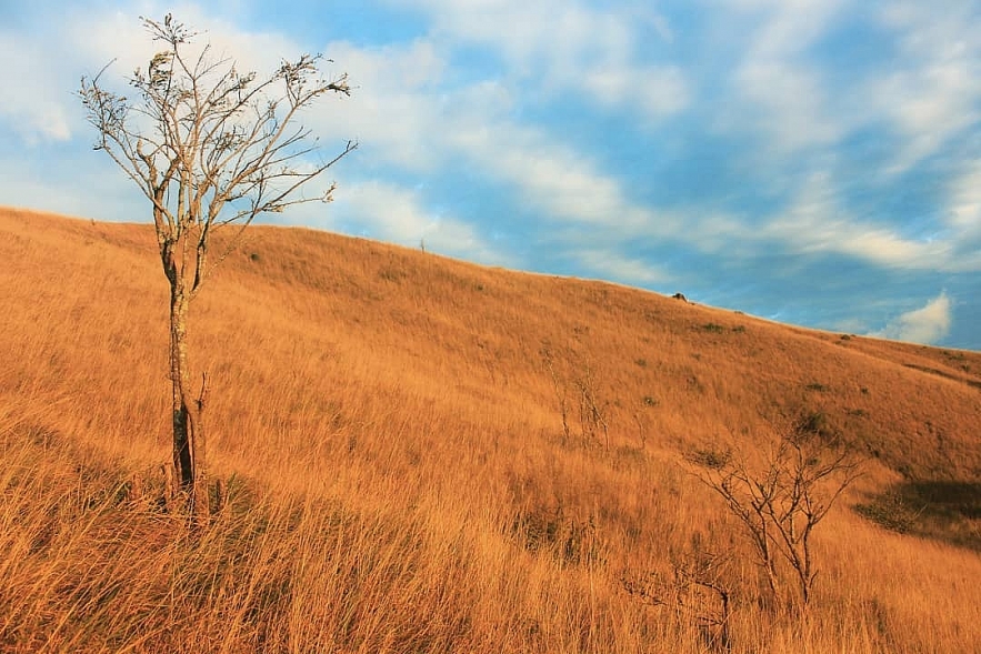 2207 trekking ta nang mua co chay 21