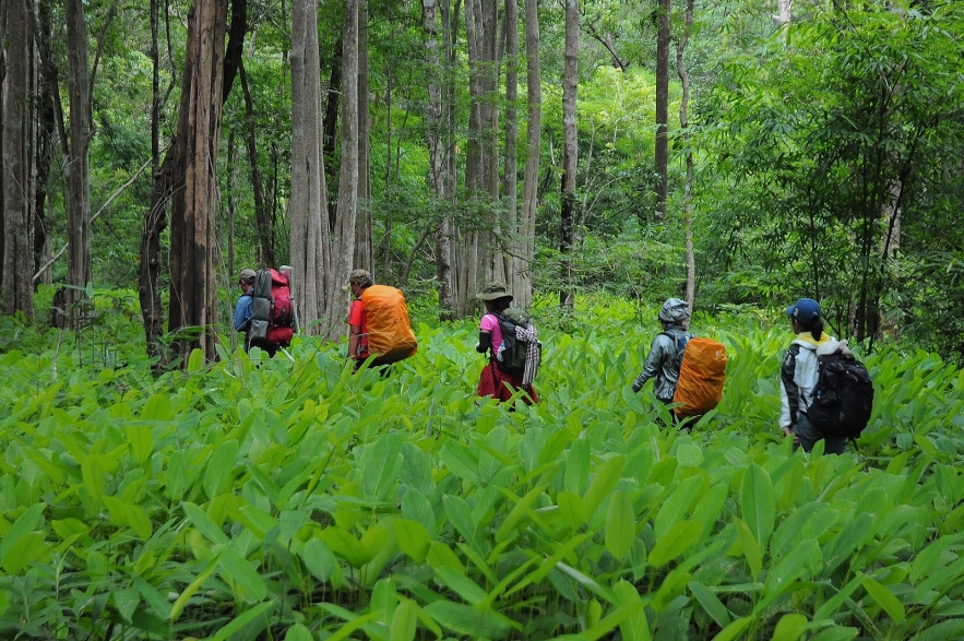 3054 hanh trinh trekking ta nang phan dung 13