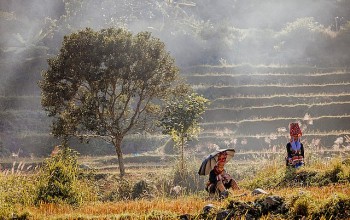 Dao Thanh Phan- Treasure of Quang Ninh's Ethnic Minority Group
