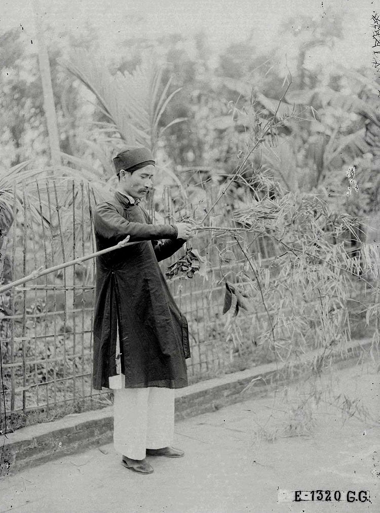 Lunar New Year in Hanoi A Century Ago in Photos Lunar New Year in Hanoi A Century Ago in Photos