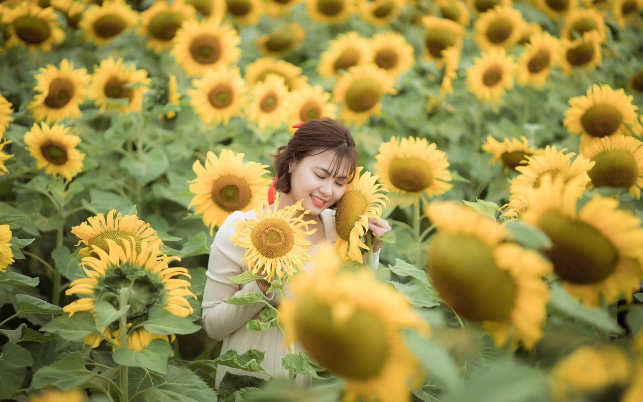 Instagram Op in Thanh Hoa You Should Check Out Now