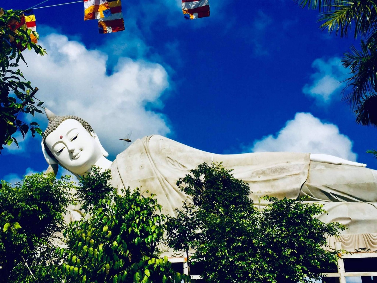 Photo: Thamhiemmekong