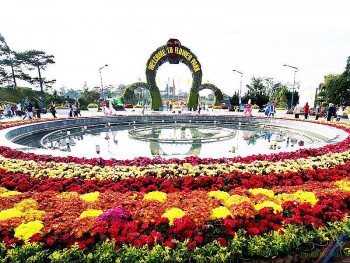 Da Lat Named Top 6 Global Destination for Spring Flowers