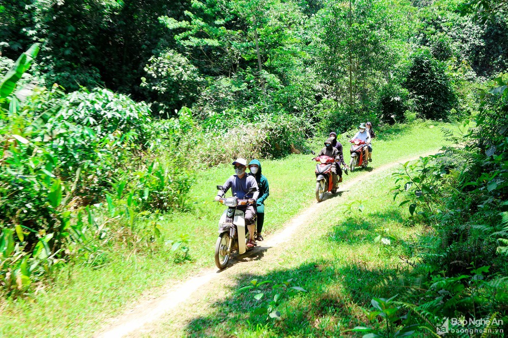 Exploring the Fountain of Youth in Nghe An