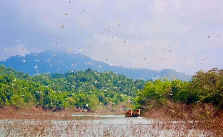 he charming scenery along the river in the early morning or late afternoon are beautiful and poetic. Photo: VTC13