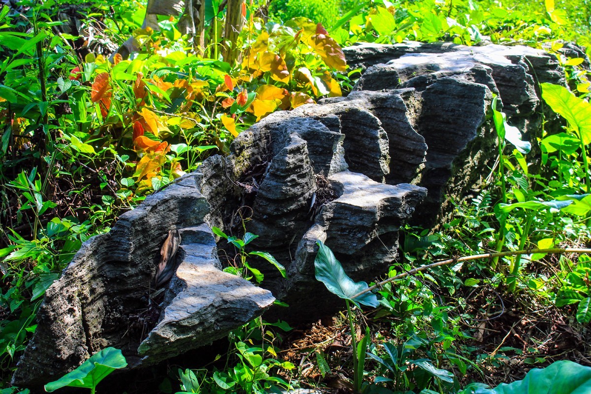 Where to Visit in Quang Nam: Doi Cave Tien An - A Time Travel Beauty
